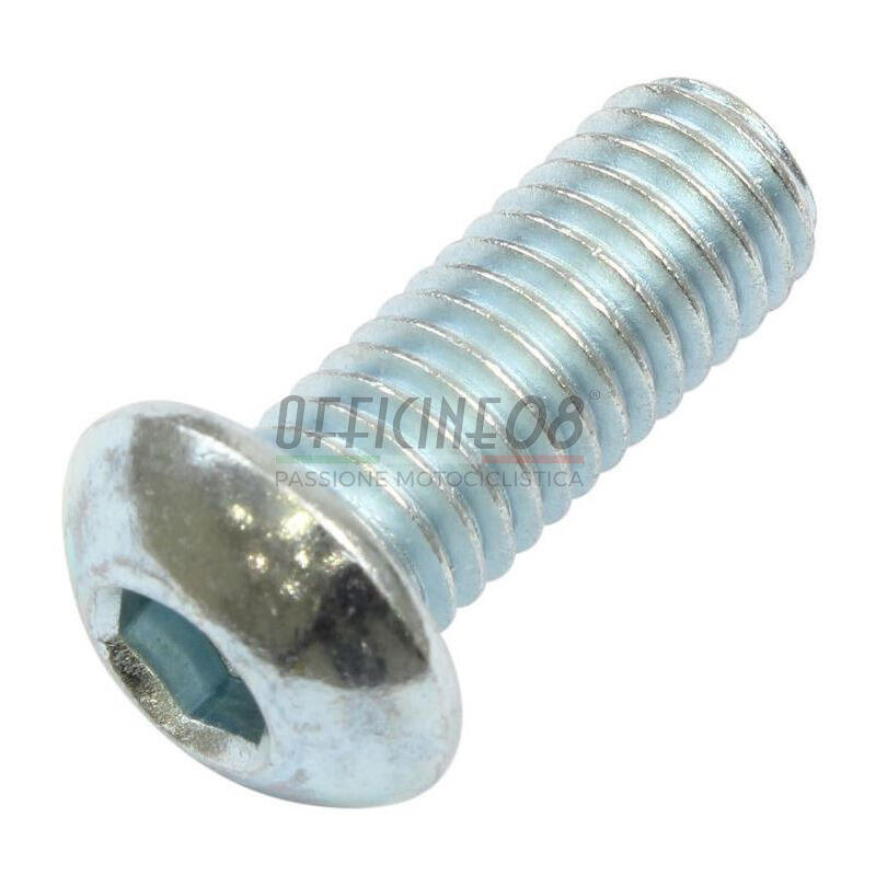 Bolt dome head M8x20mm