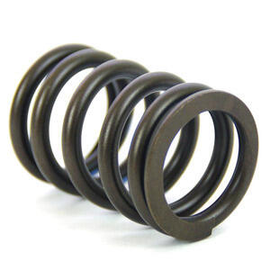 Valve spring BMW R Boxer 2V