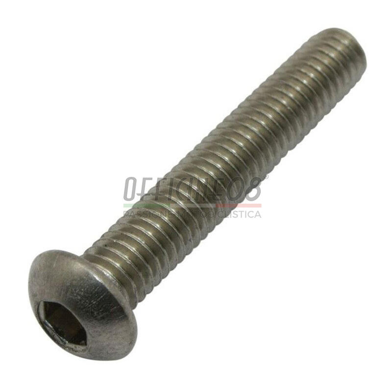 Bullone testa bombata M5x20mm