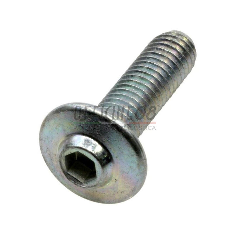 Bolt dome head M6x25mm flanged