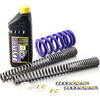 Kit upgrade sospensioni per Moto Guzzi 1200 Sport Hyperpro Combi - Foto 1