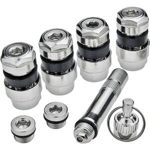 Valvola Per Pneumatici Tubeless – Compatibile Con Ninebot Max E Monopattini Elettrici
