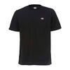 T-Shirt maniche corte Dickies Stockdale nero - Foto 1