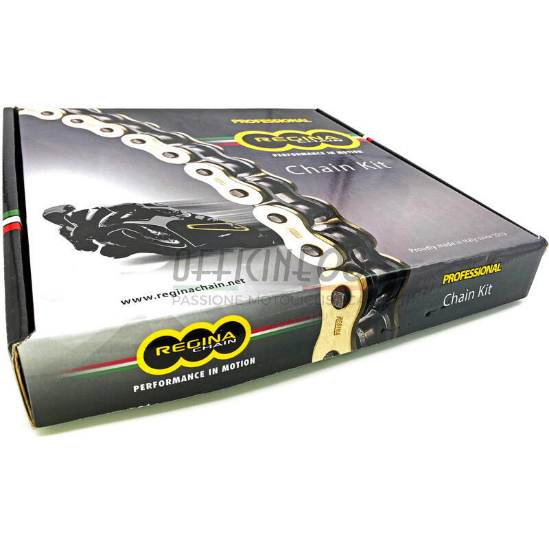 Chain and sprockets kit Ducati Multistrada 1000 Regina