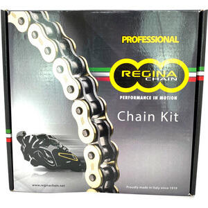 Chain and sprockets kit BMW F 800 GS Regina - Pictures 2