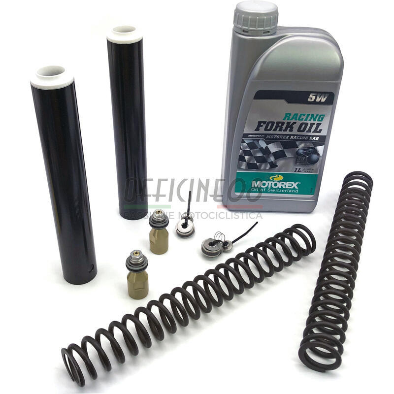 Kit upgrade forcella per Triumph Speed Triple 955 i.e. Matris FRK