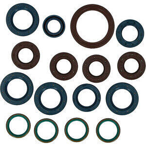 Engine oil seal kit Ducati Monster 916 S4 Centauro