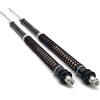 Fork cartridge Suzuki DL 650 V-Strom -'11 Matris F15K kit - Pictures 1