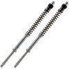 Cartuccia forcella per Aprilia Mana 850 Matris F20K coppia - Foto 1