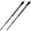 Cartuccia forcella per Ducati Streetfighter 848 Matris F20K coppia - Foto 1