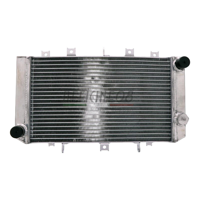 Engine cooler Kawasaki Z 750 -'06 water grey right