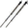 Cartuccia forcella per BMW F 800 GS '13- Matris F20K coppia - Foto 1