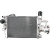 Radiatore motore per BMW R 1200 GS '13- acqua grigio destro - Foto 1