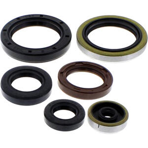 Guarnizioni Paraolio Schettrate TC 25x44x10 Mm NBR - Set Da 10 Pezzi, Per Applicazioni Idrauliche E Industriali