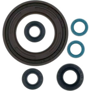 Engine oil seal kit Yamaha TDM 900 Athena