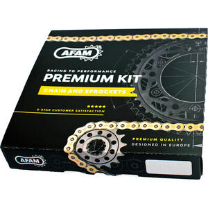 Chain and sprockets kit Aprilia 650 Pegaso '97-'00 AFAM - Pictures 2