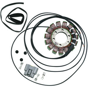 Stator BMW S 1000 R -'16 Rick's Motorsport Electric