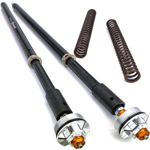 Fork cartridge Aprilia Shiver 750 fork Sachs Andreani Misano EVO kit - Pictures 2