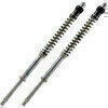 Cartuccia forcella per Ducati Monster 996 S4R Matris F20K kit - Foto 1