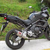 Auspuff Schalldämpfer Kawasaki KLE 650 Versys E3 Mass Oval - Bilder 1