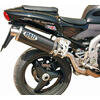 Exhaust muffler Triumph Daytona 955 i.e. Mass GP1 - Pictures 1