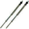 Cartuccia forcella per Moto Guzzi V 7 i.e. 850 E5+ Matris F20K kit - Foto 1