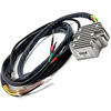 Regolatore di tensione alternatore Bosch Rick's Motorsport Electric - Foto 1
