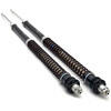 Fork cartridge Harley-Davidson Softail 1750 Matris F15K kit - Pictures 1
