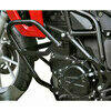 Crash bar BMW F 800 GS -'16 Zieger black - Pictures 1